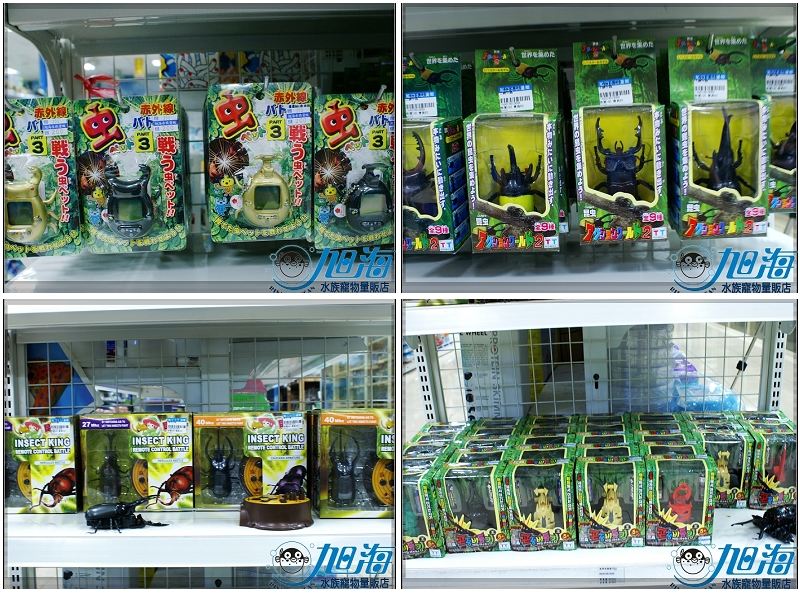 - 
 ![«ö¦¹¦b·sµøµ¡ÂsÄý¹Ï¤ù