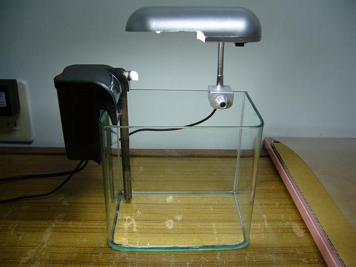 按此在新視窗瀏覽圖片