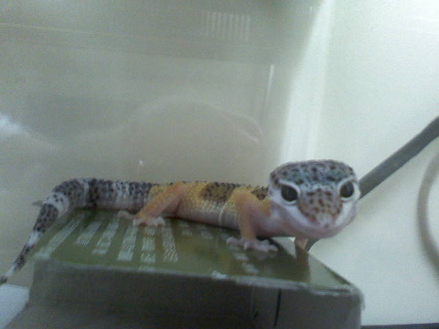 按此在新視窗瀏覽圖片