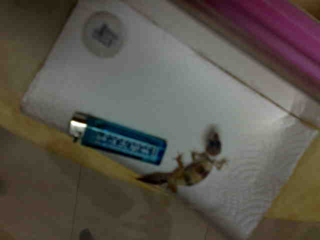 按此在新視窗瀏覽圖片