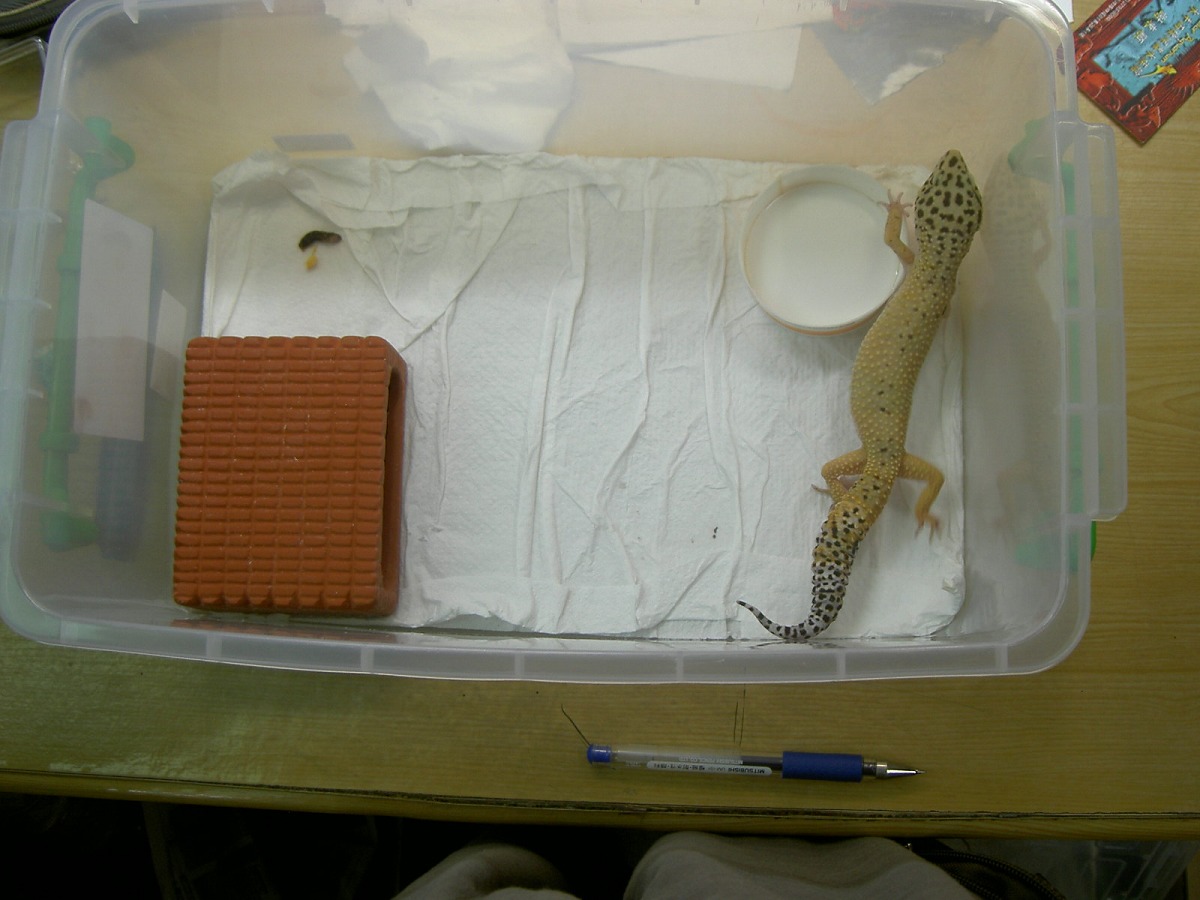 按此在新視窗瀏覽圖片