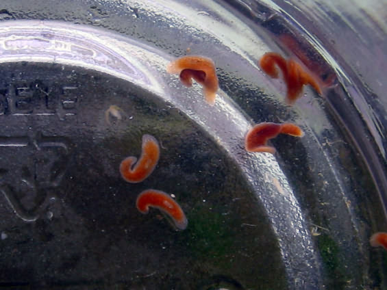 按此在新視窗瀏覽圖片