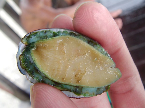 按此在新視窗瀏覽圖片