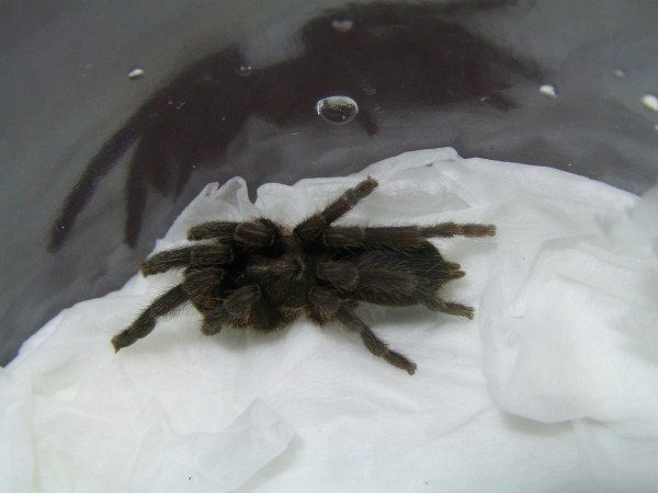 按此在新視窗瀏覽圖片