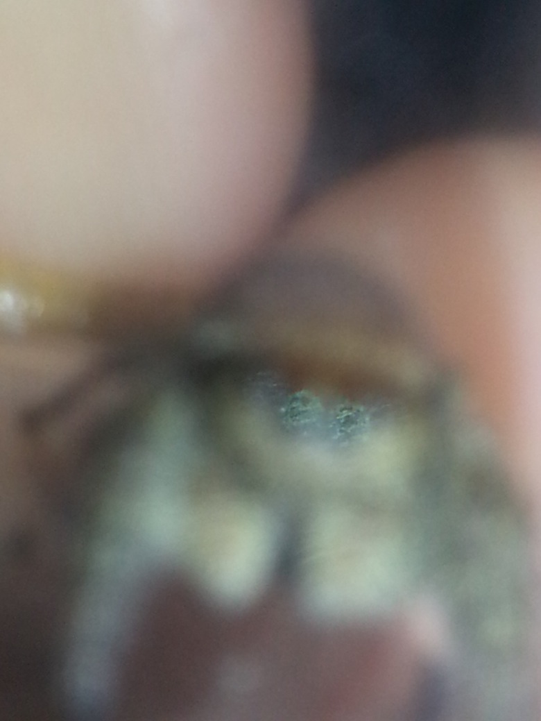 «ö¦¹¦b·sµøµ¡ÂsÄý¹Ï¤ù