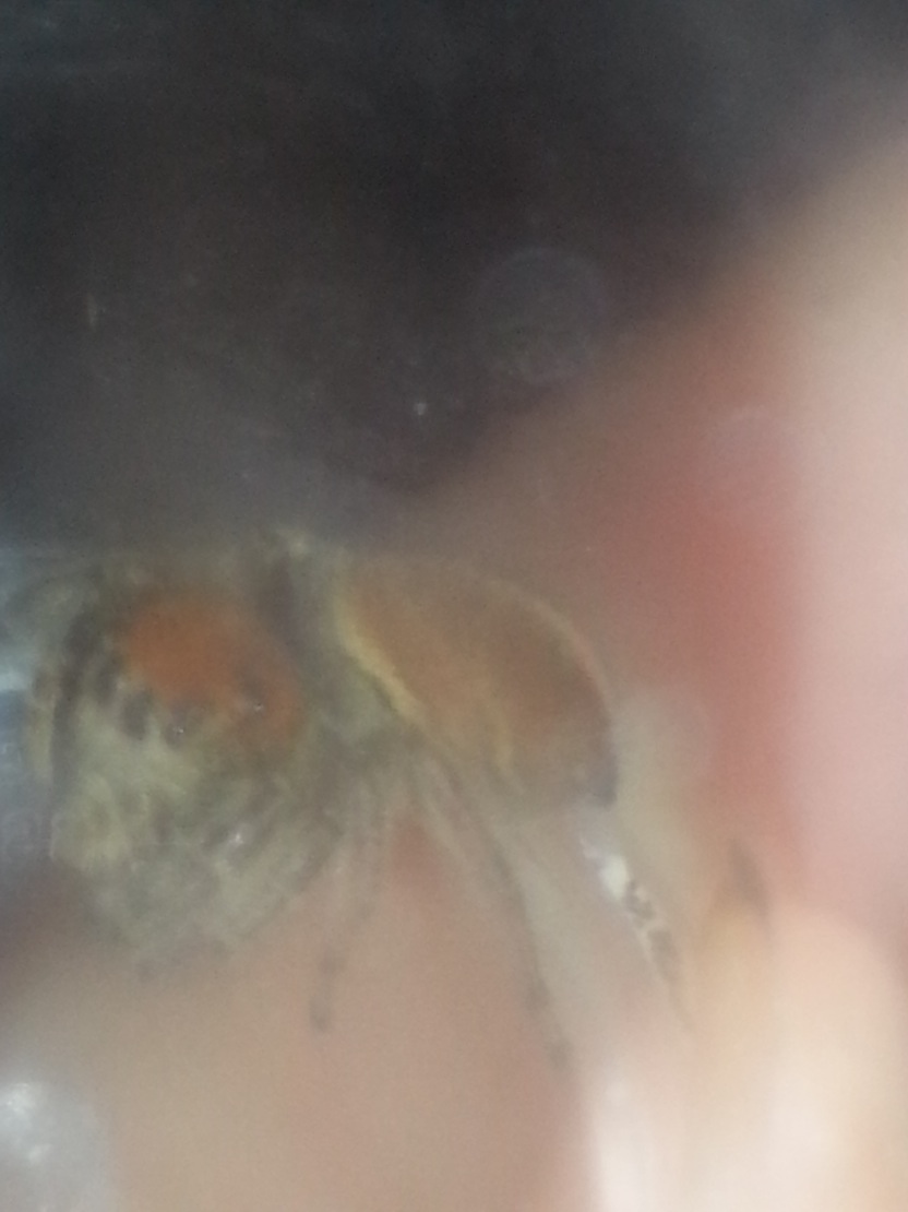 «ö¦¹¦b·sµøµ¡ÂsÄý¹Ï¤ù