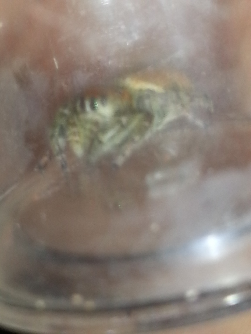 «ö¦¹¦b·sµøµ¡ÂsÄý¹Ï¤ù