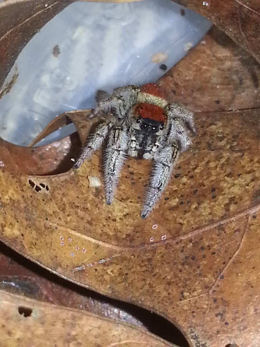 «ö¦¹¦b·sµøµ¡ÂsÄý¹Ï¤ù