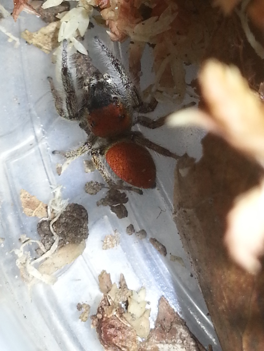 «ö¦¹¦b·sµøµ¡ÂsÄý¹Ï¤ù