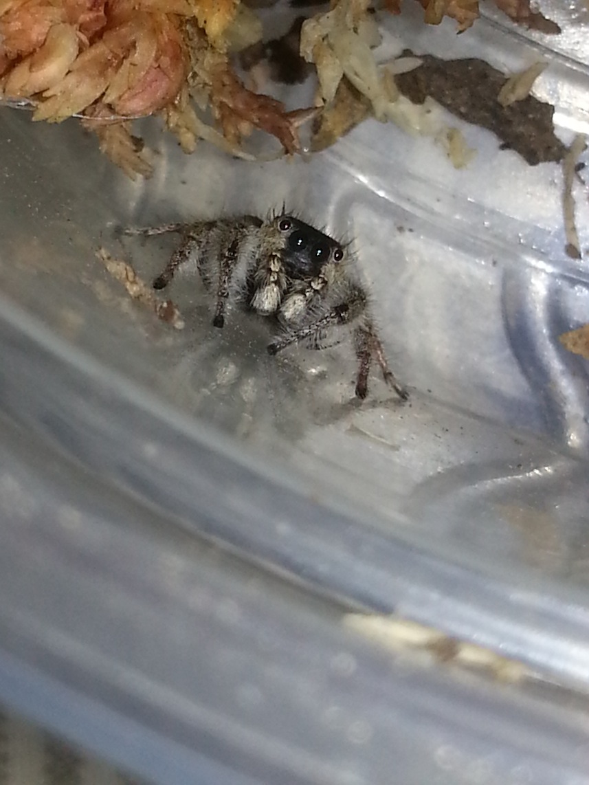 «ö¦¹¦b·sµøµ¡ÂsÄý¹Ï¤ù