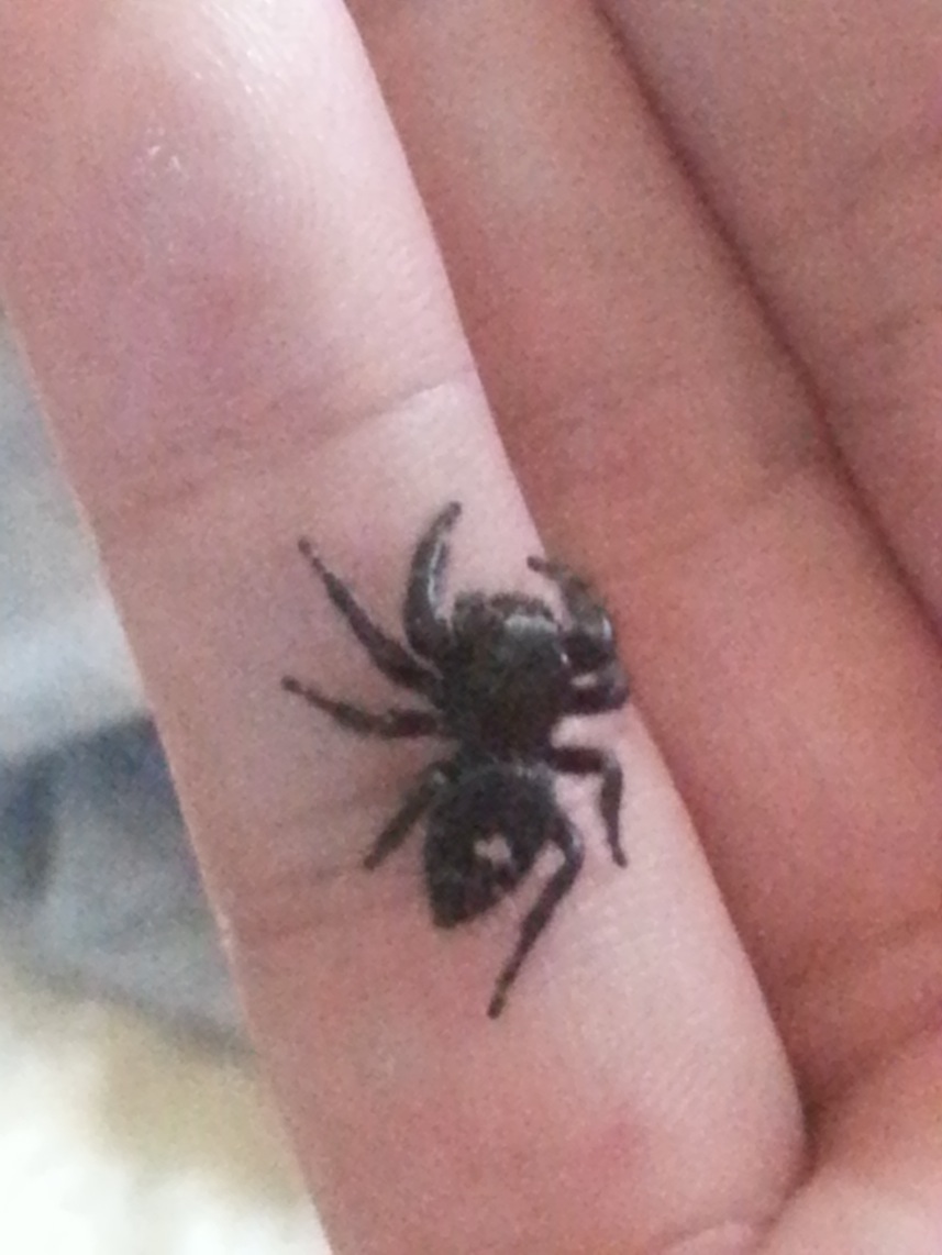 «ö¦¹¦b·sµøµ¡ÂsÄý¹Ï¤ù