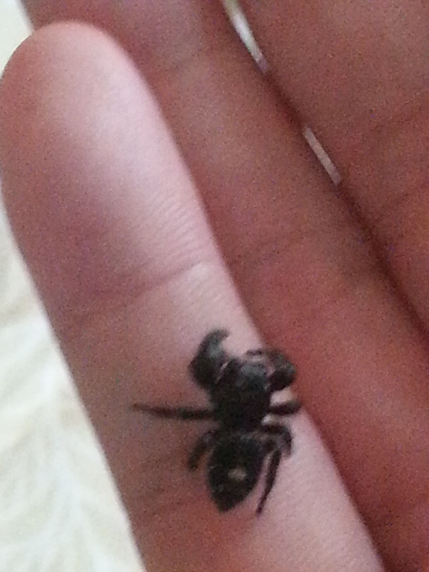 «ö¦¹¦b·sµøµ¡ÂsÄý¹Ï¤ù