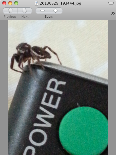 «ö¦¹¦b·sµøµ¡ÂsÄý¹Ï¤ù