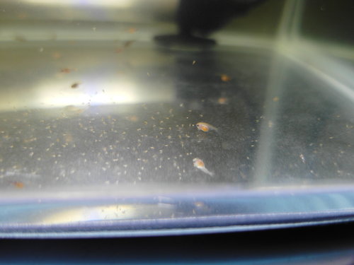 «ö¦¹¦b·sµøµ¡ÂsÄý¹Ï¤ù