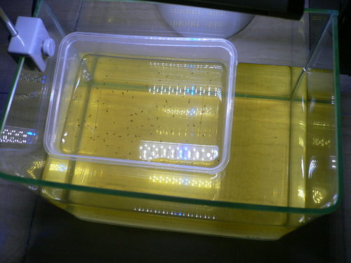 «ö¦¹¦b·sµøµ¡ÂsÄý¹Ï¤ù