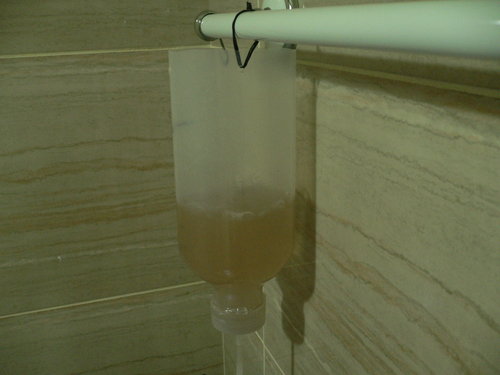 «ö¦¹¦b·sµøµ¡ÂsÄý¹Ï¤ù