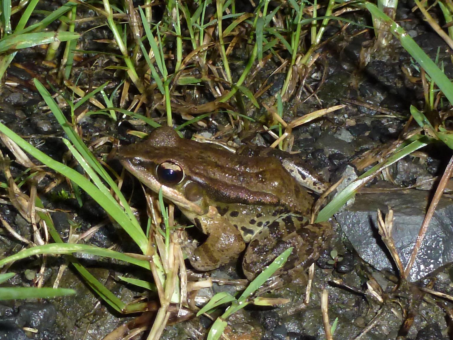 «ö¦¹¦b·sµøµ¡ÂsÄý¹Ï¤ù