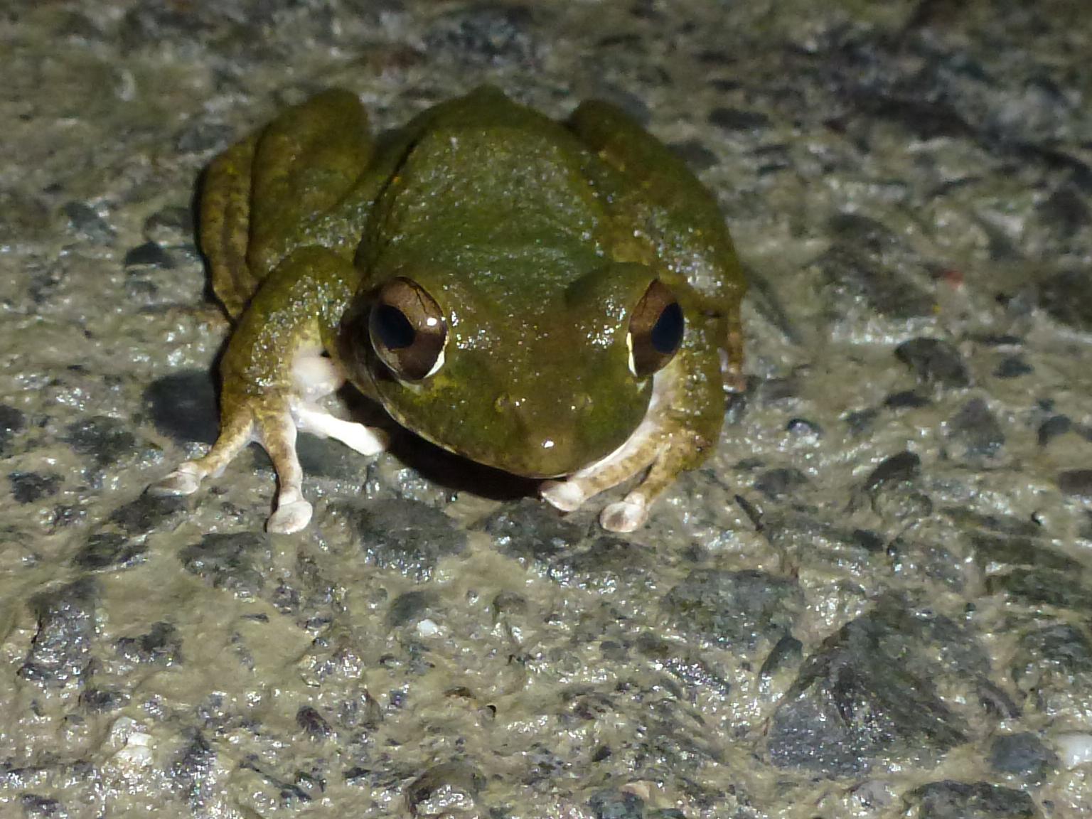 «ö¦¹¦b·sµøµ¡ÂsÄý¹Ï¤ù