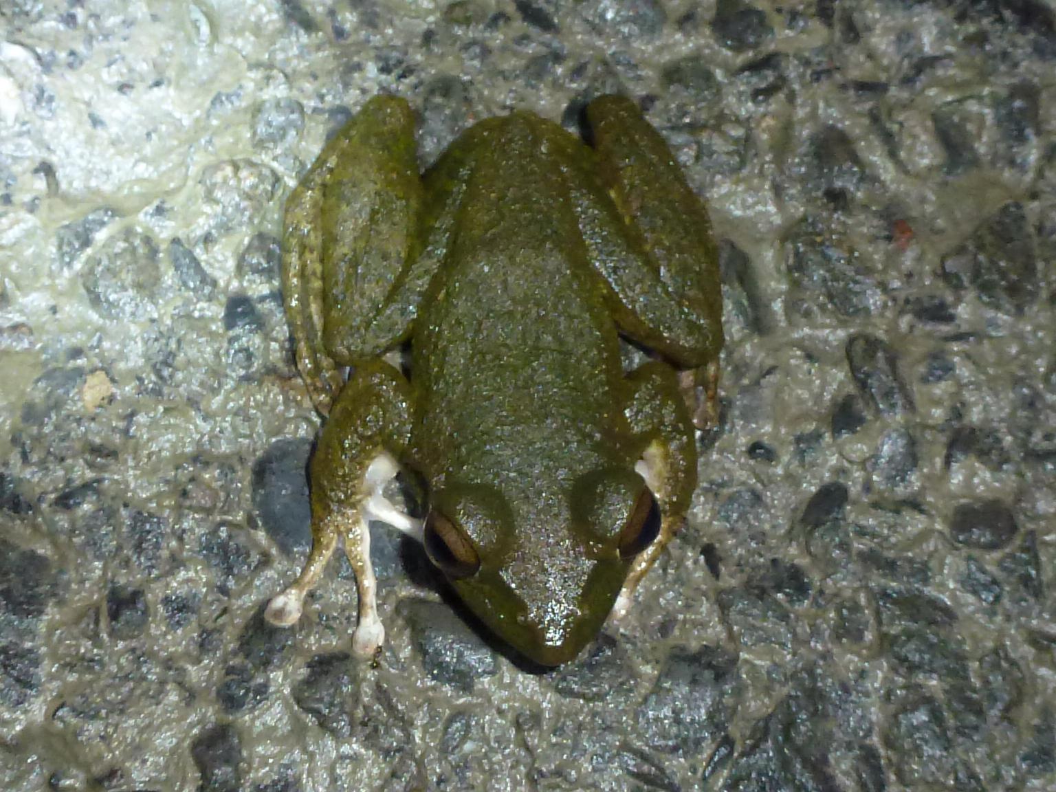 «ö¦¹¦b·sµøµ¡ÂsÄý¹Ï¤ù