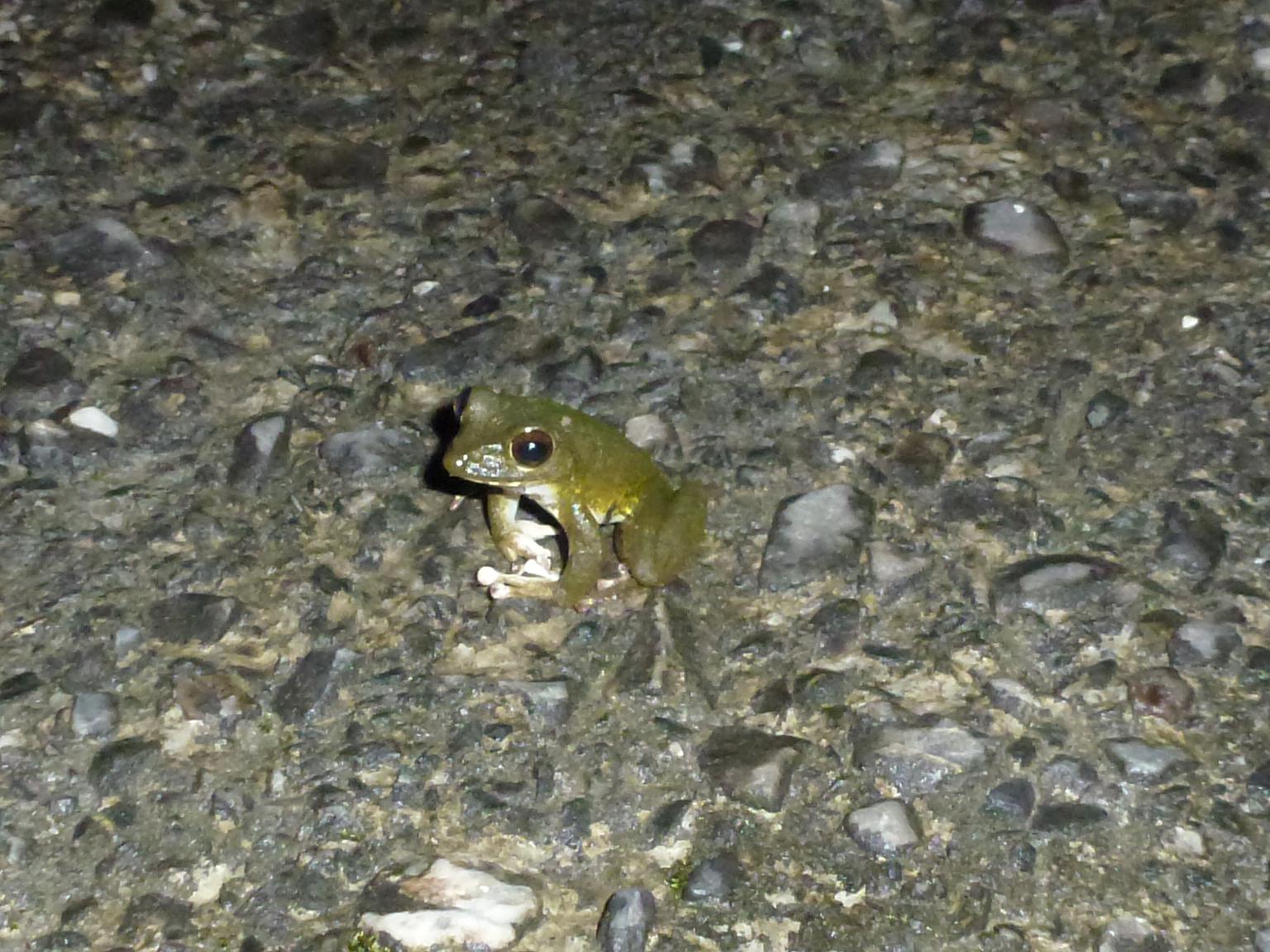 «ö¦¹¦b·sµøµ¡ÂsÄý¹Ï¤ù