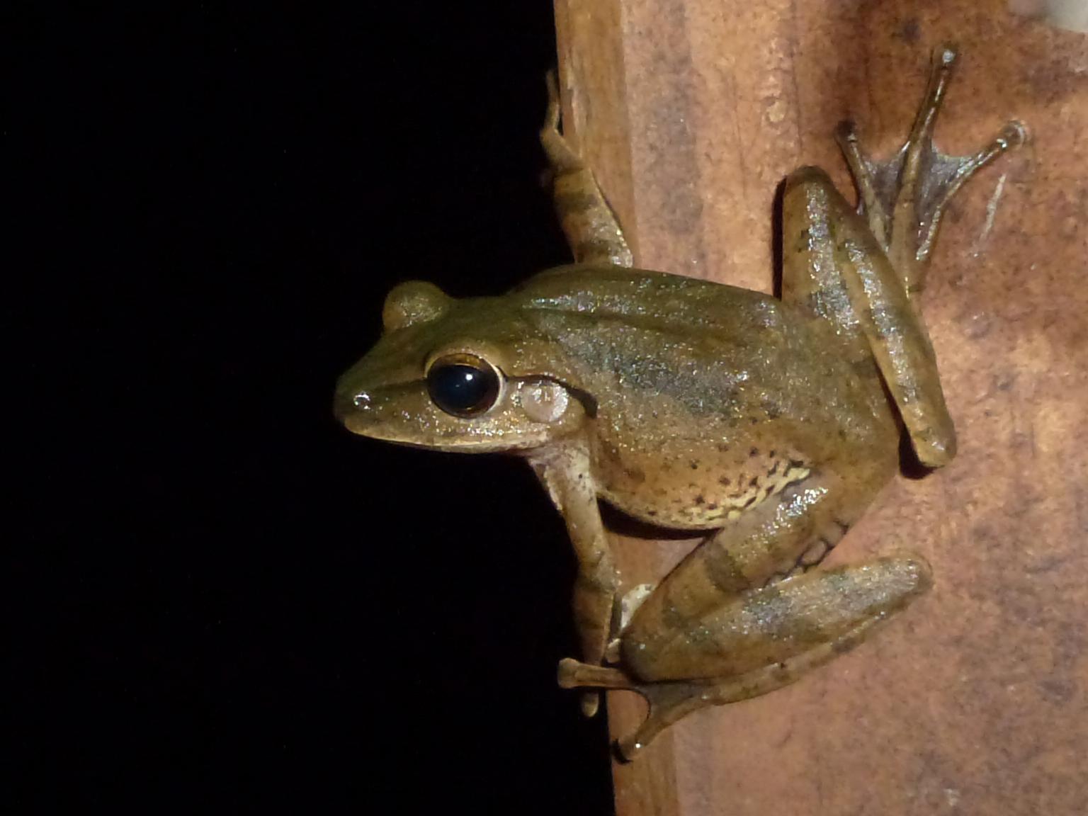 «ö¦¹¦b·sµøµ¡ÂsÄý¹Ï¤ù