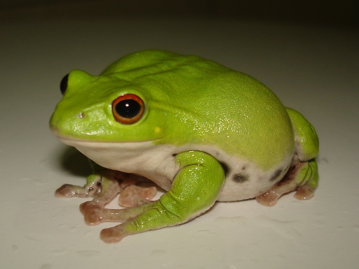 «ö¦¹¦b·sµøµ¡ÂsÄý¹Ï¤ù