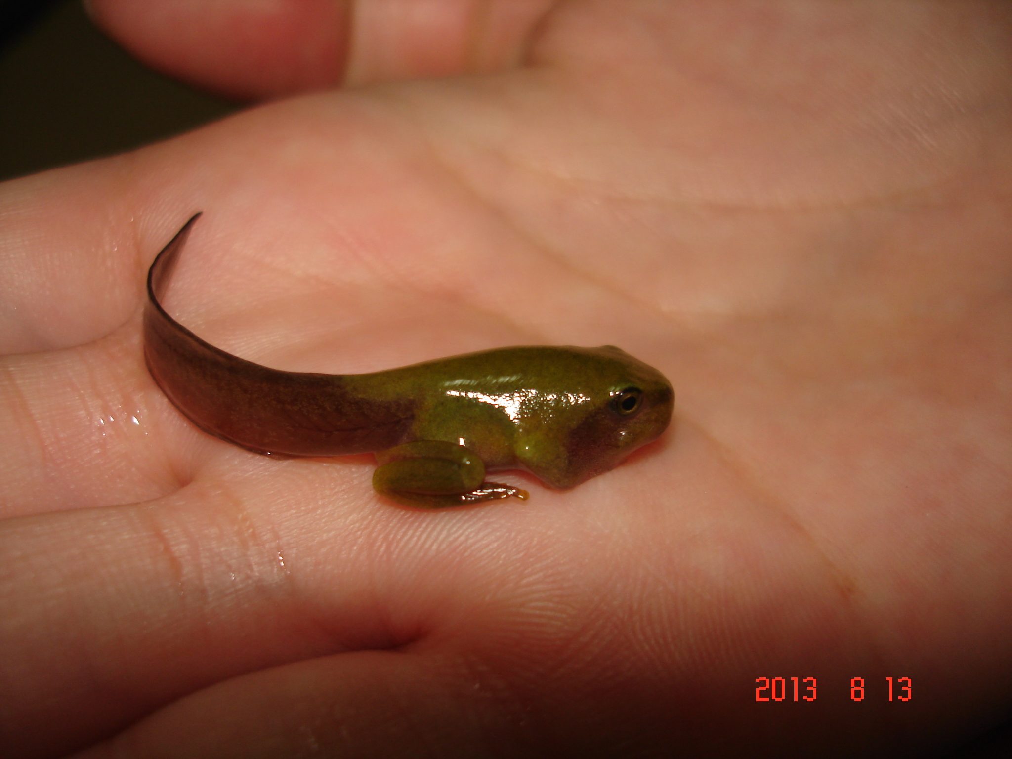 «ö¦¹¦b·sµøµ¡ÂsÄý¹Ï¤ù