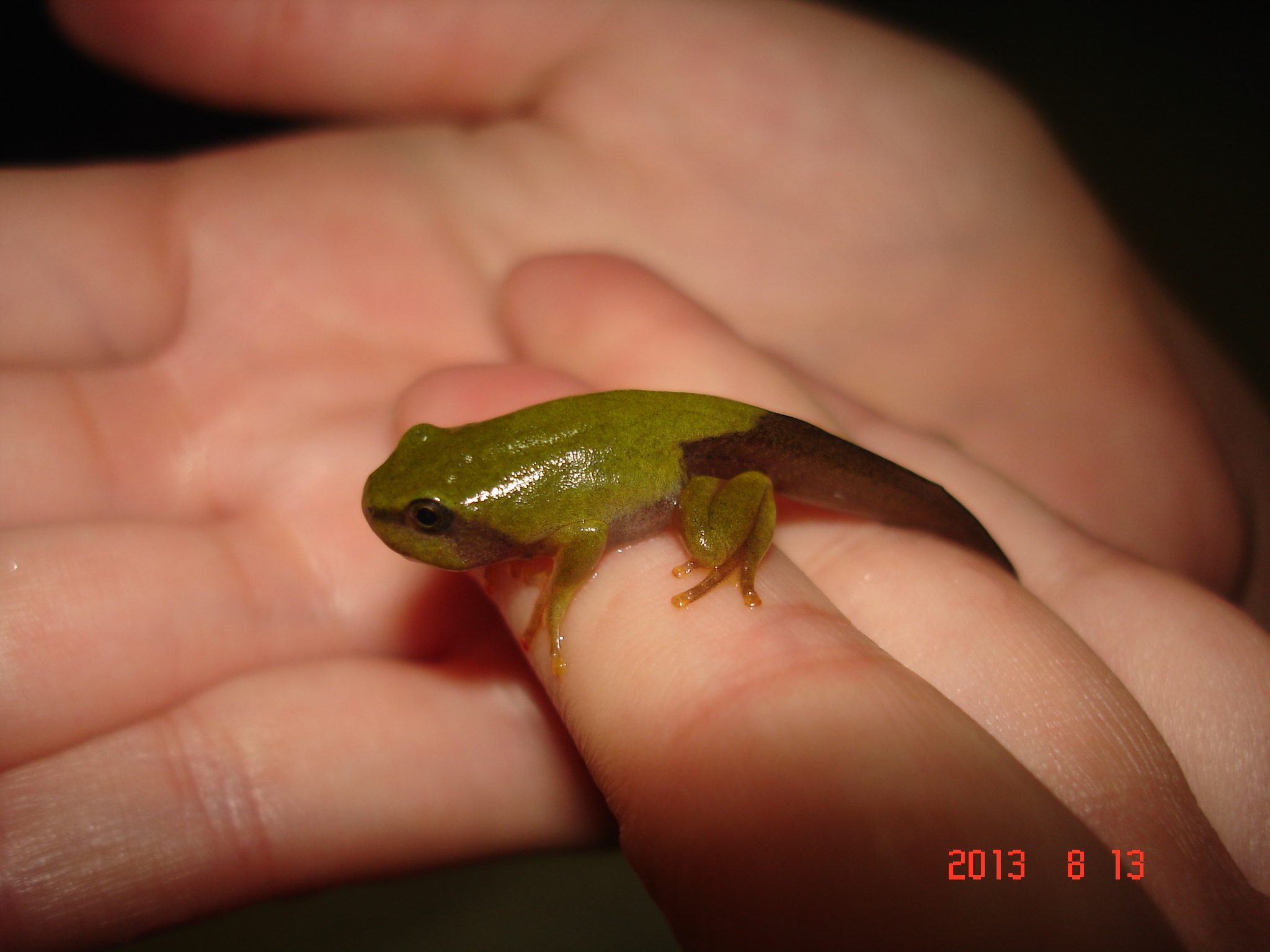 «ö¦¹¦b·sµøµ¡ÂsÄý¹Ï¤ù