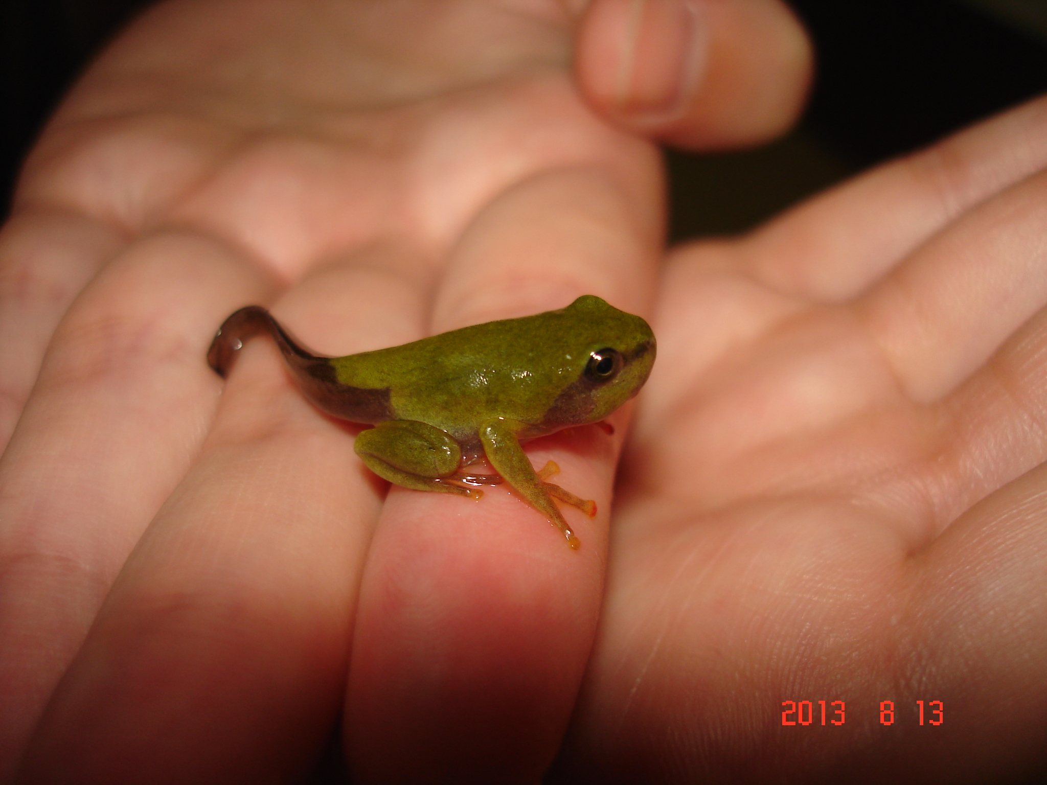 «ö¦¹¦b·sµøµ¡ÂsÄý¹Ï¤ù