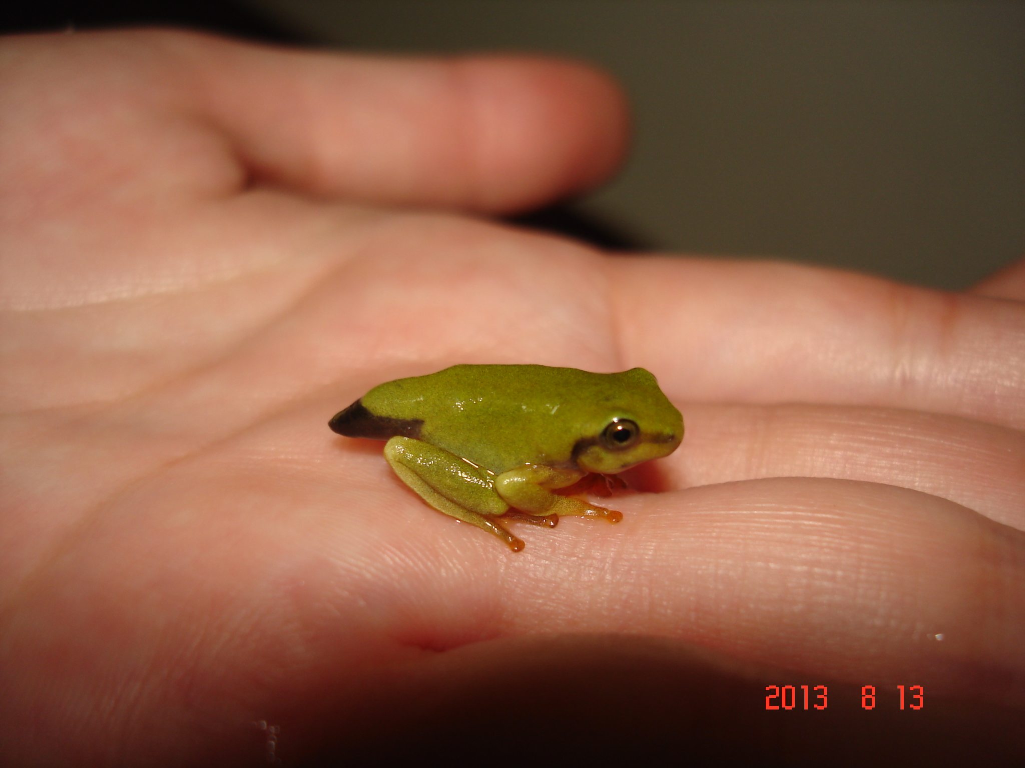 «ö¦¹¦b·sµøµ¡ÂsÄý¹Ï¤ù