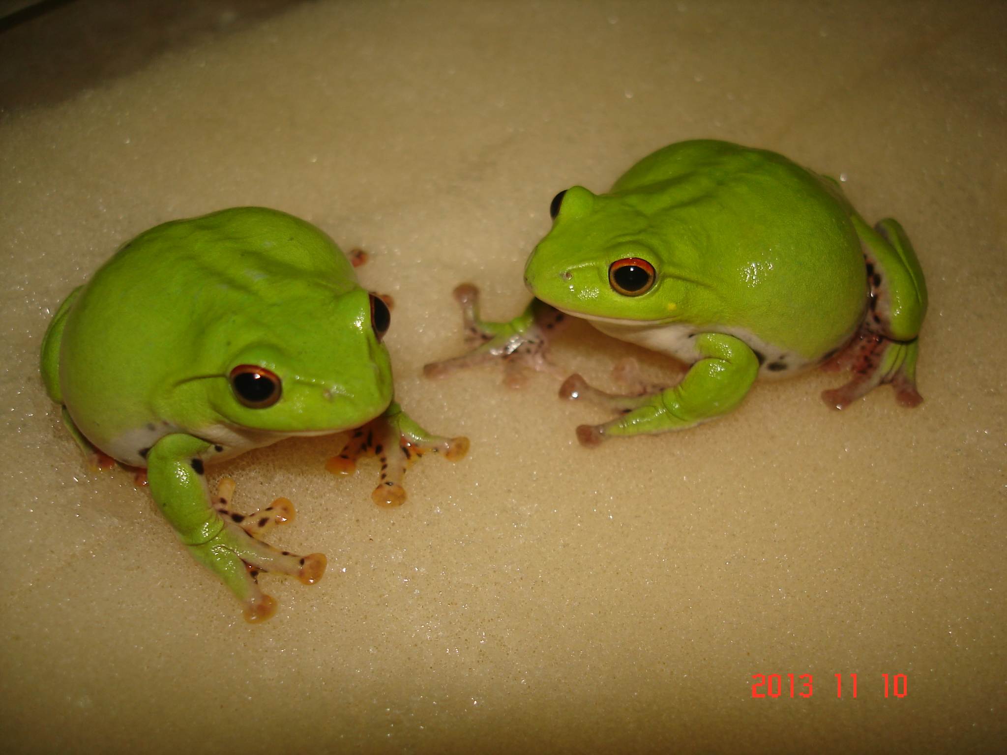 «ö¦¹¦b·sµøµ¡ÂsÄý¹Ï¤ù