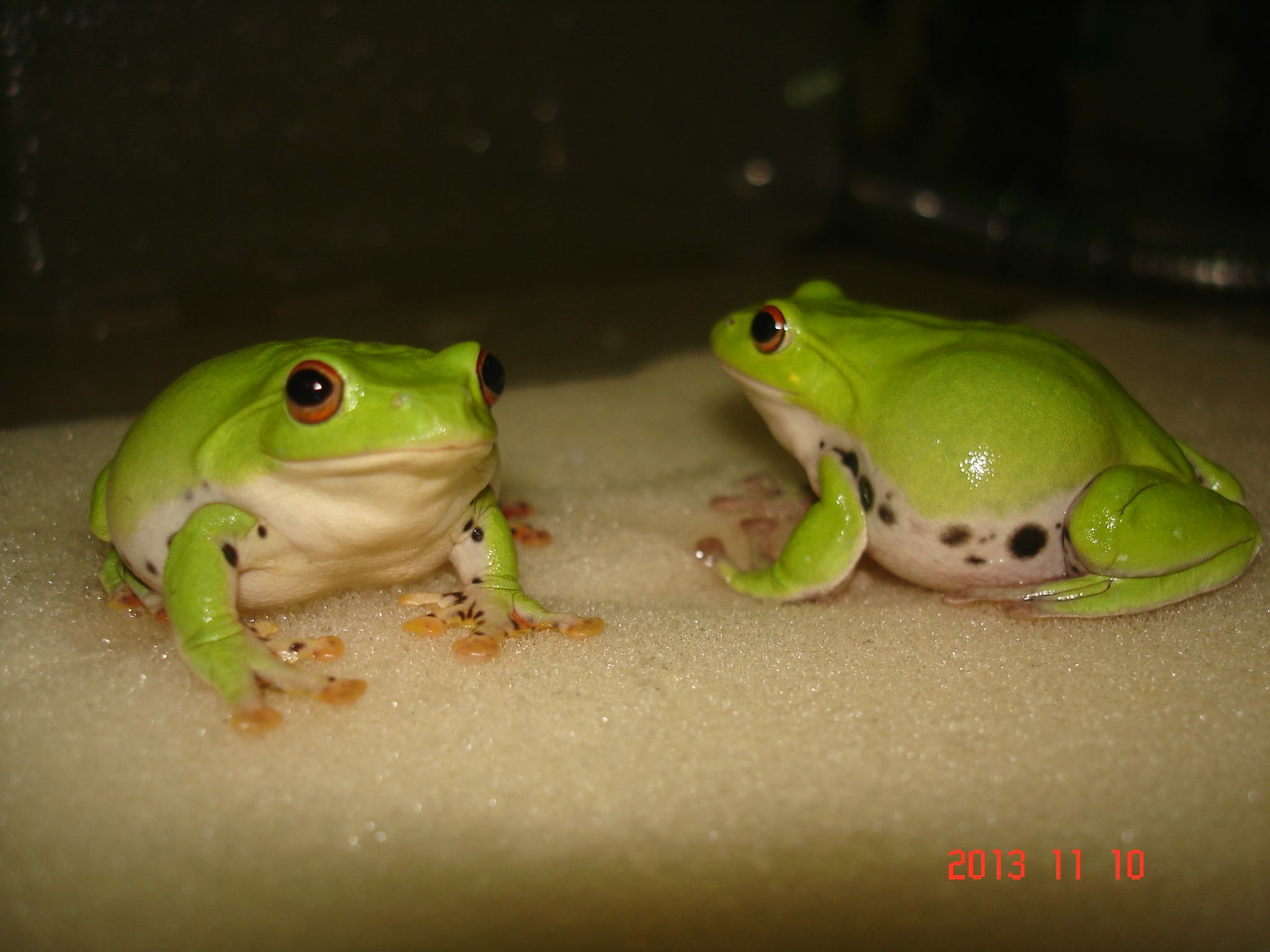 «ö¦¹¦b·sµøµ¡ÂsÄý¹Ï¤ù