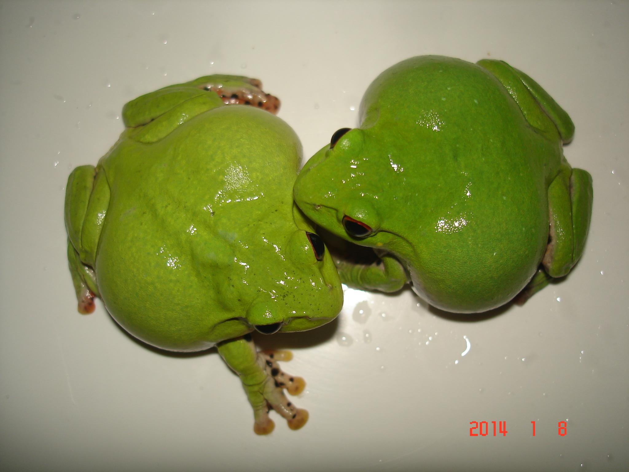 «ö¦¹¦b·sµøµ¡ÂsÄý¹Ï¤ù