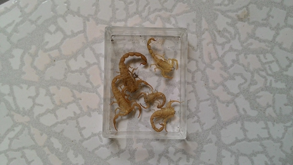 «ö¦¹¦b·sµøµ¡ÂsÄý¹Ï¤ù