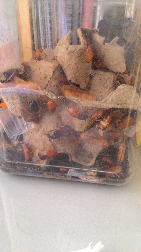 «ö¦¹¦b·sµøµ¡ÂsÄý¹Ï¤ù