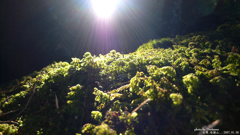 按此在新視窗瀏覽圖片