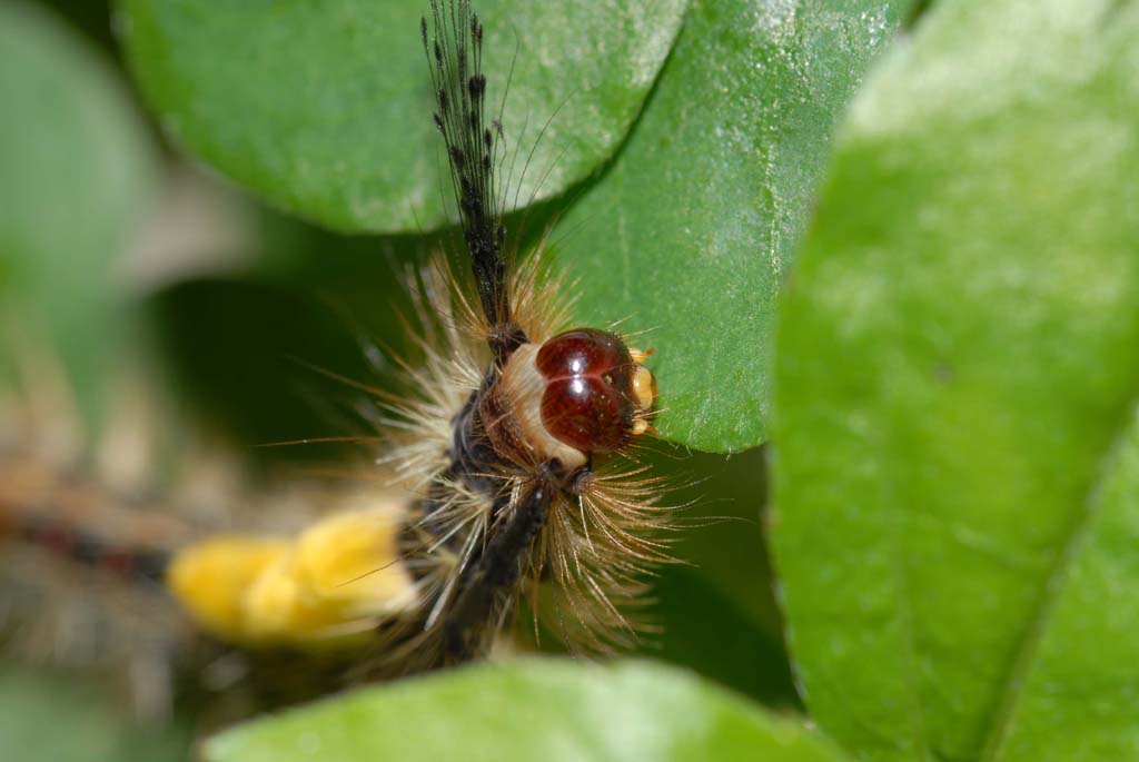 «ö¦¹¦b·sµøµ¡ÂsÄý¹Ï¤ù