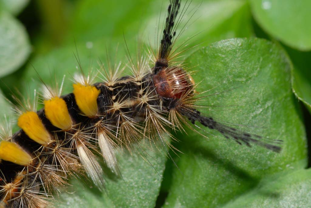 «ö¦¹¦b·sµøµ¡ÂsÄý¹Ï¤ù