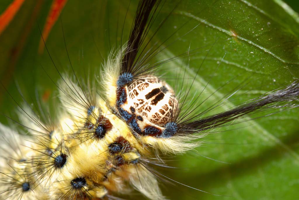 «ö¦¹¦b·sµøµ¡ÂsÄý¹Ï¤ù