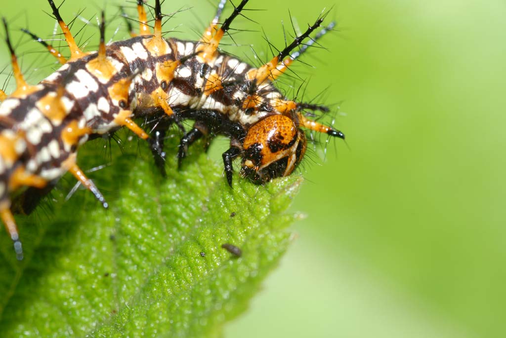 «ö¦¹¦b·sµøµ¡ÂsÄý¹Ï¤ù