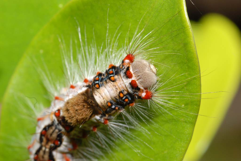 «ö¦¹¦b·sµøµ¡ÂsÄý¹Ï¤ù