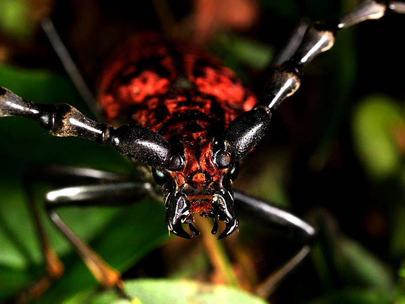 «ö¦¹¦b·sµøµ¡ÂsÄý¹Ï¤ù