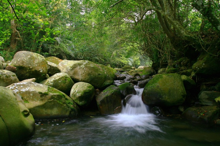 «ö¦¹¦b·sµøµ¡ÂsÄý¹Ï¤ù