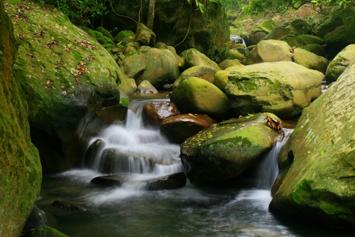 «ö¦¹¦b·sµøµ¡ÂsÄý¹Ï¤ù