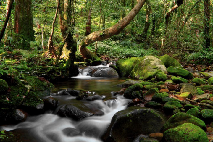 «ö¦¹¦b·sµøµ¡ÂsÄý¹Ï¤ù