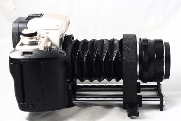 «ö¦¹¦b·sµøµ¡ÂsÄý¹Ï¤ù