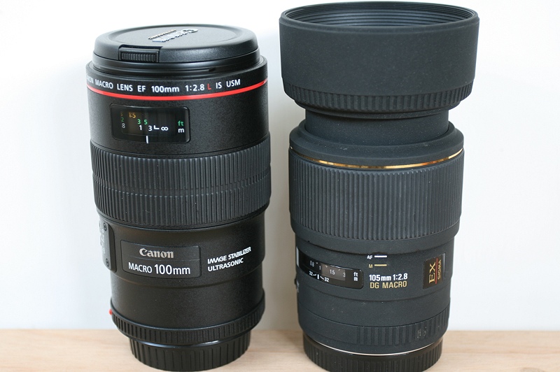 «ö¦¹¦b·sµøµ¡ÂsÄý¹Ï¤ù