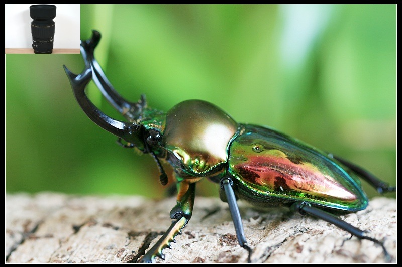 «ö¦¹¦b·sµøµ¡ÂsÄý¹Ï¤ù