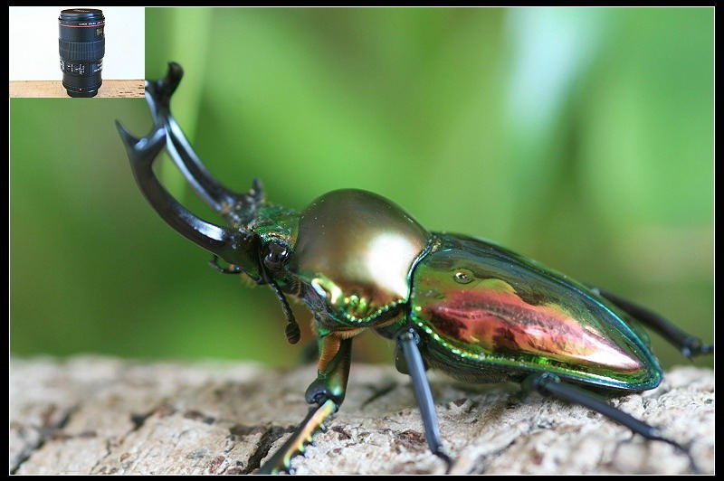 «ö¦¹¦b·sµøµ¡ÂsÄý¹Ï¤ù