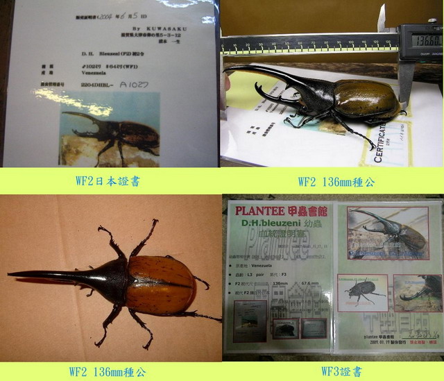 «ö¦¹¦b·sµøµ¡ÂsÄý¹Ï¤ù